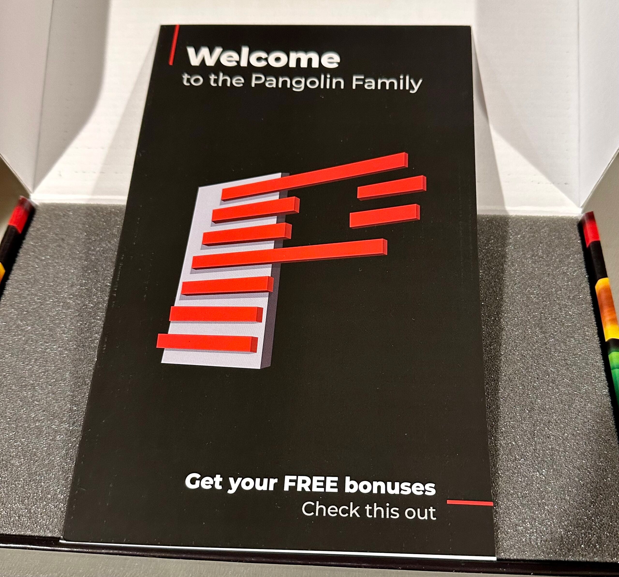 PANGOLIN QUICKSHOW / Flashback 3