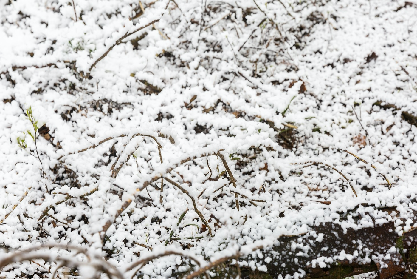 Beamz PRO SNOW5000 HIGH VOLUME SNOW MACHINE