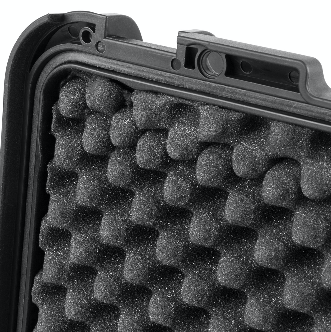 Power Dynamics GIGCASE66R