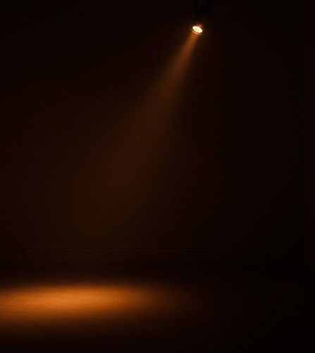 Utleie - Sabre Spot DTW