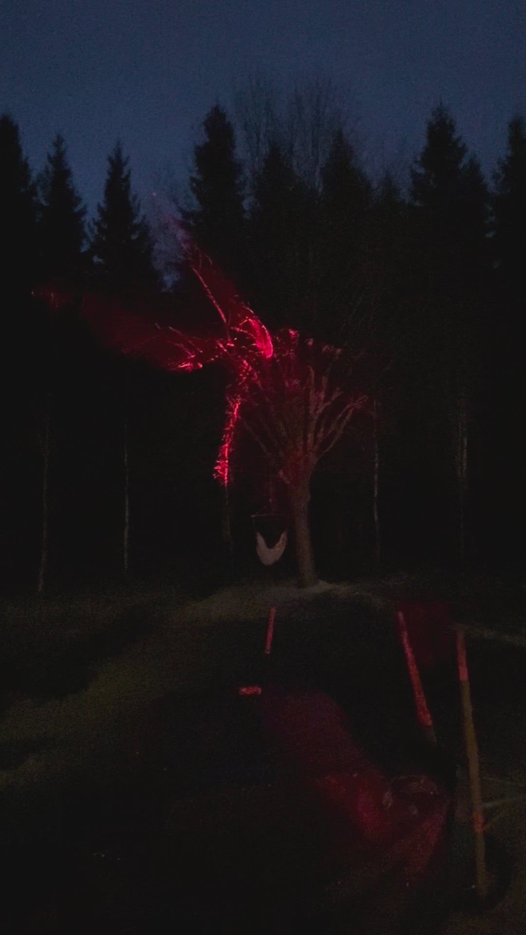Beamz PRO TerraSky Galaxy Outdoor Laser